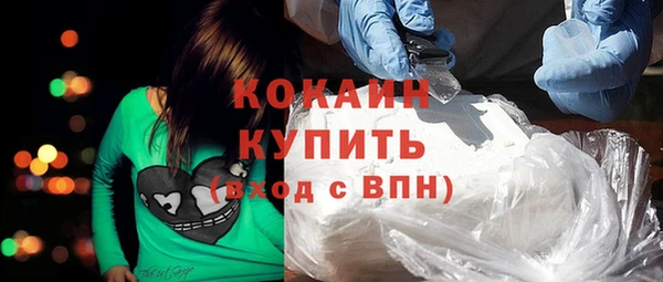 спиды Ельня