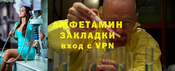 спиды Ельня