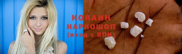 спиды Ельня