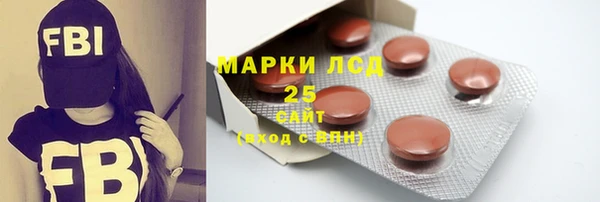 спиды Ельня