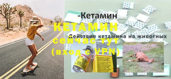 спиды Ельня
