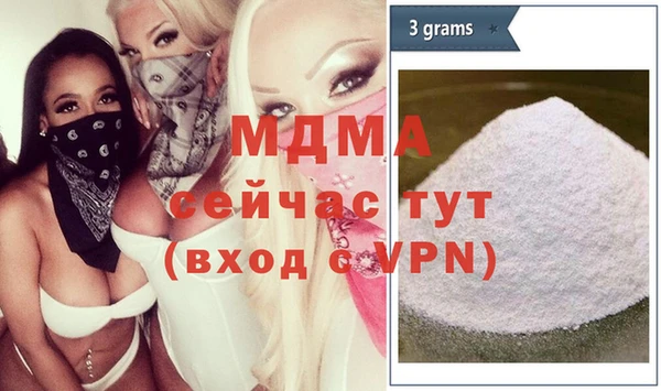 спиды Ельня
