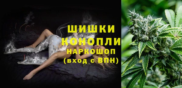 спиды Ельня