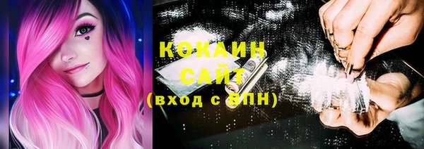 дмт Елабуга