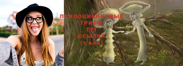 дмт Елабуга