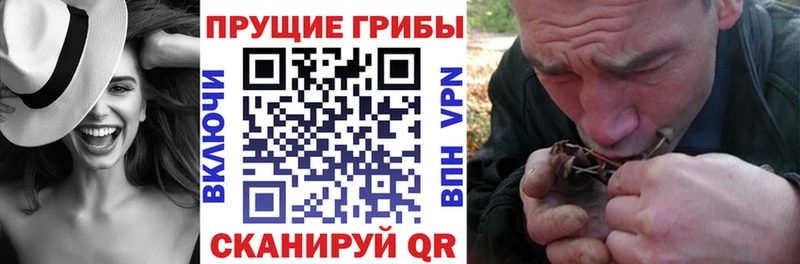 Галлюциногенные грибы прущие грибы  Купить закладки  Межгорье 